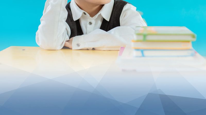 建造师培训协议班课程内容，揭秘高效学习路径